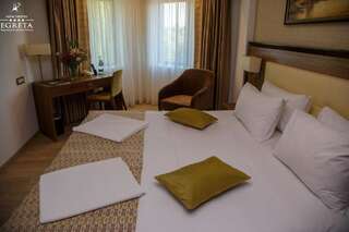 Отель New Hotel Egreta Дунавэцу-де-Жос Стандартный двухместный номер с 1 кроватью-4