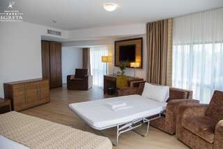 Отель New Hotel Egreta Дунавэцу-де-Жос Большой двухместный номер с 1 кроватью-3