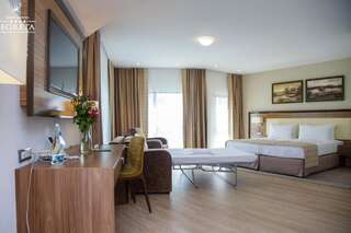 Отель New Hotel Egreta Дунавэцу-де-Жос Большой двухместный номер с 1 кроватью-4